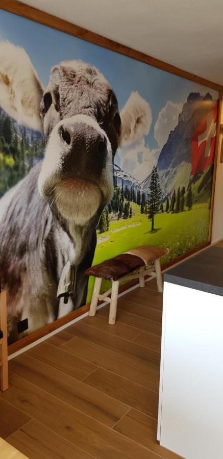 Apartmán Almi - Alpenglueck Traumhafte Whg.M.20Qm Dachterr. Oberstaufen Exteriér fotografie