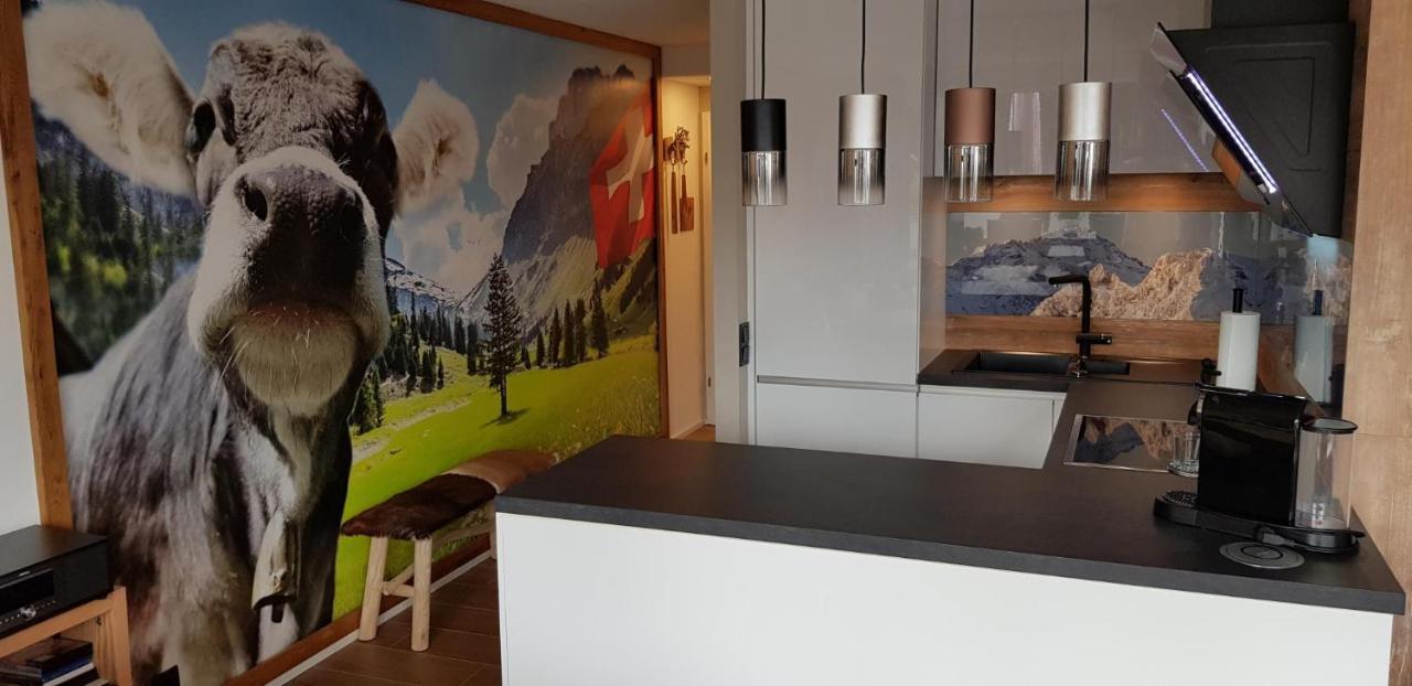 Apartmán Almi - Alpenglueck Traumhafte Whg.M.20Qm Dachterr. Oberstaufen Exteriér fotografie